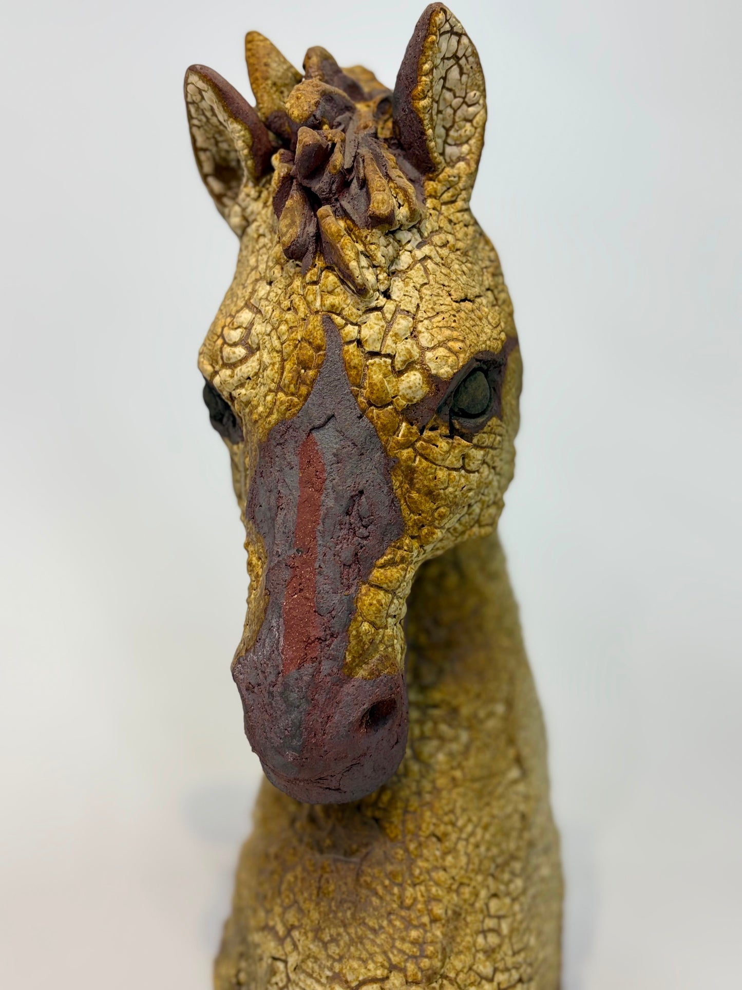 Caballo