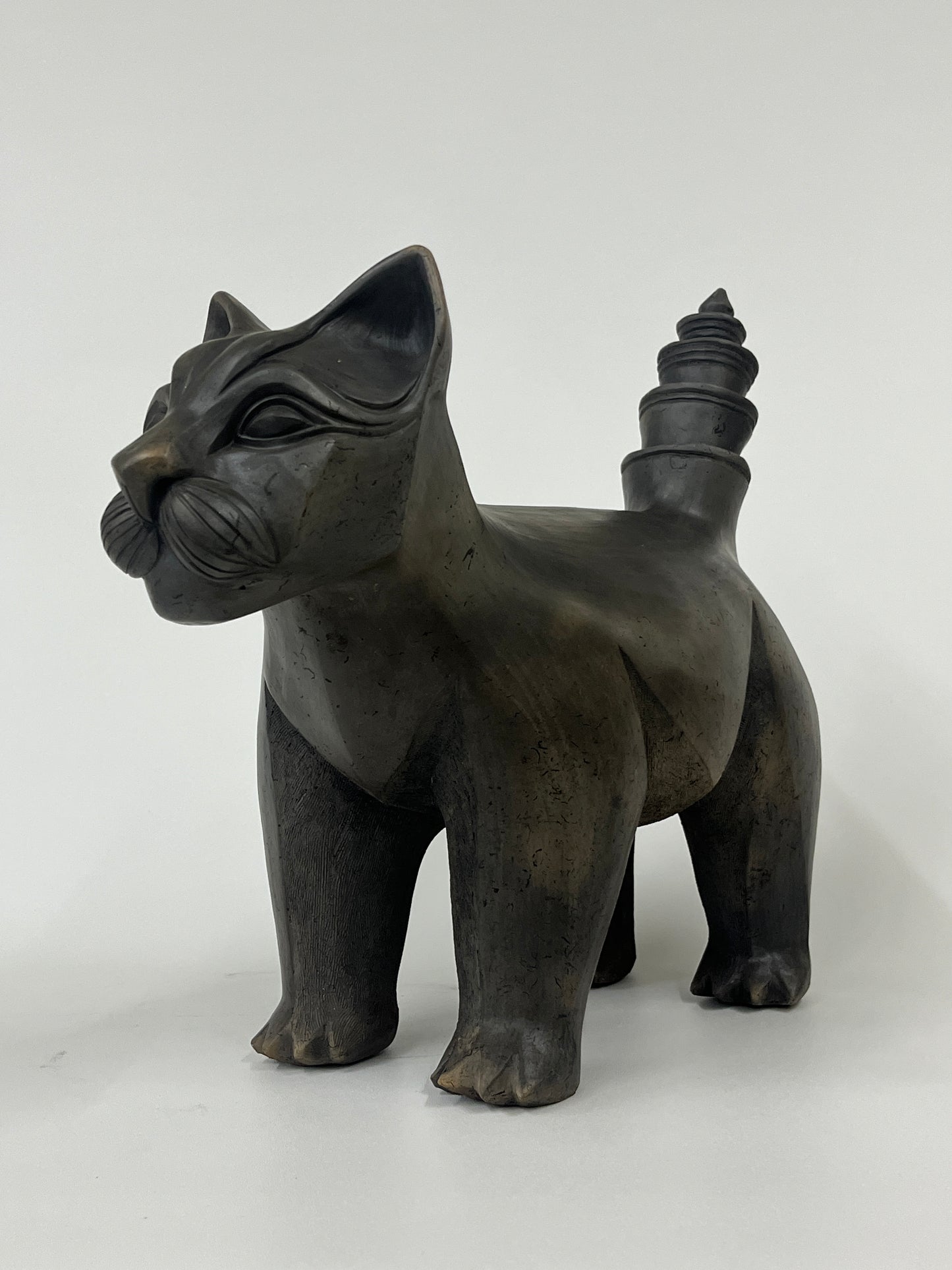 Gato negro