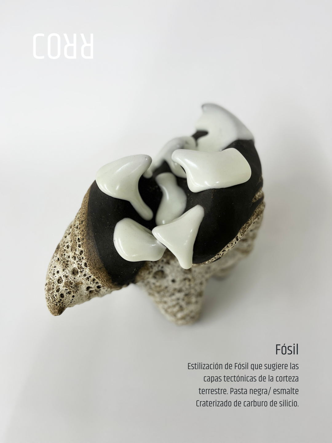 fósil escultura cerámica