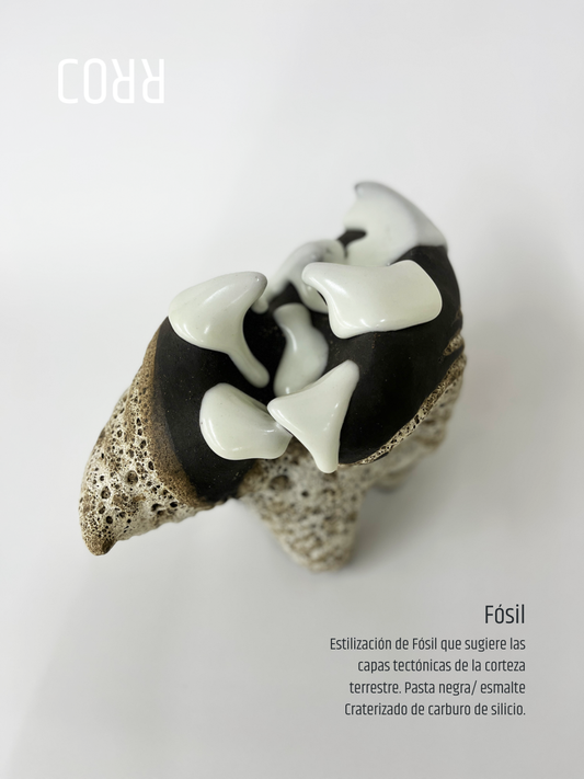 fósil escultura cerámica