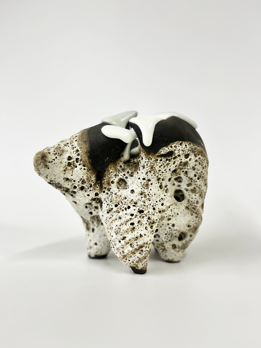 fósil escultura cerámica