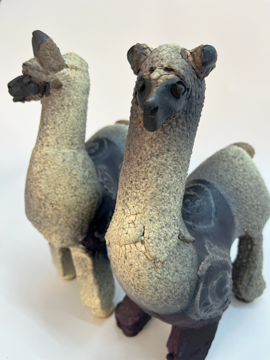 patagonicas ceramica2