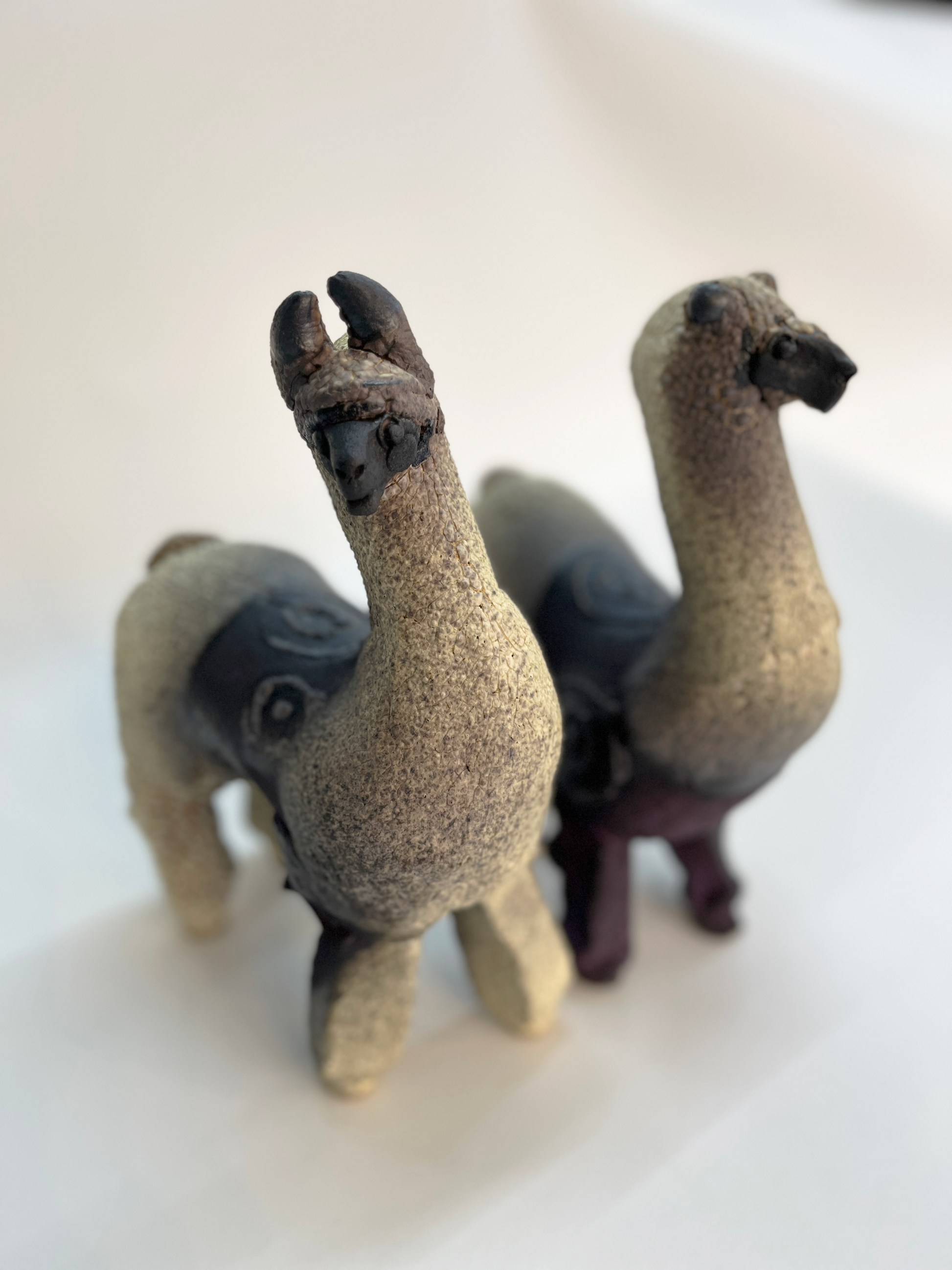 patagonicas ceramica 3